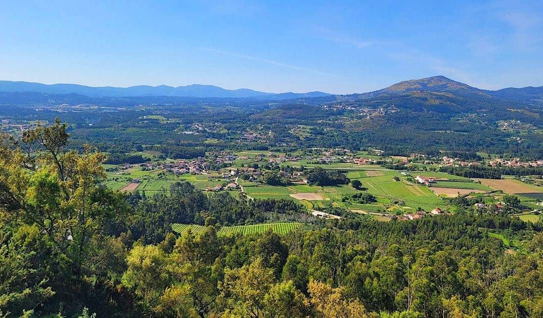 Alto Minho Autêntico: Vinhos Verdes, Tradição e Refúgio na Carvalha House