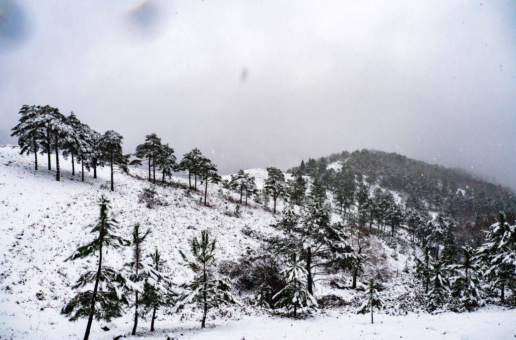 A Neve como Atrativo Turístico em Arcos de Valdevez e no Alto Minho