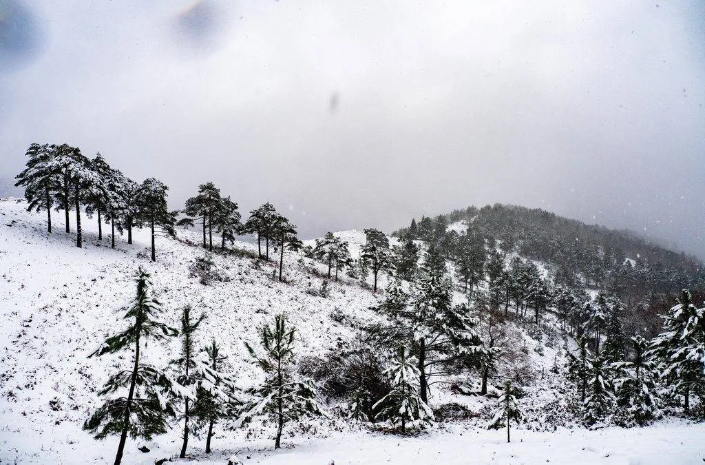 A Neve como Atrativo Turístico em Arcos de Valdevez e no Alto Minho
