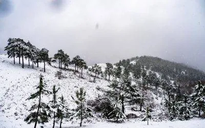 A Neve como Atrativo Turístico em Arcos de Valdevez e no Alto Minho