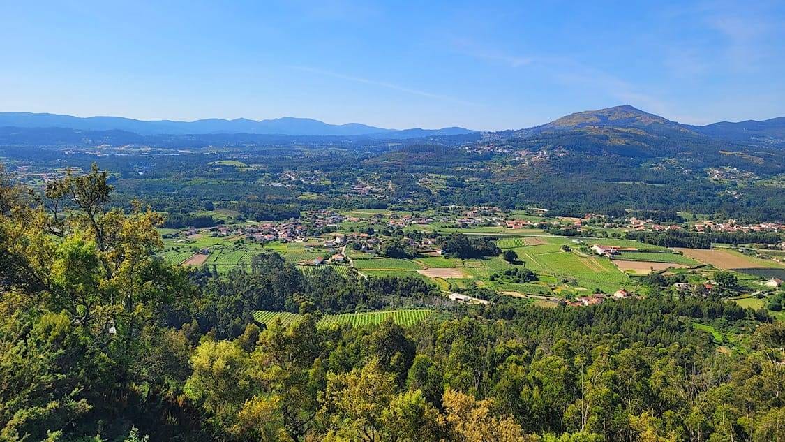 Alto Minho Auténtico: Vinhos Verdes, Tradición y Refugio en la Carvalha House