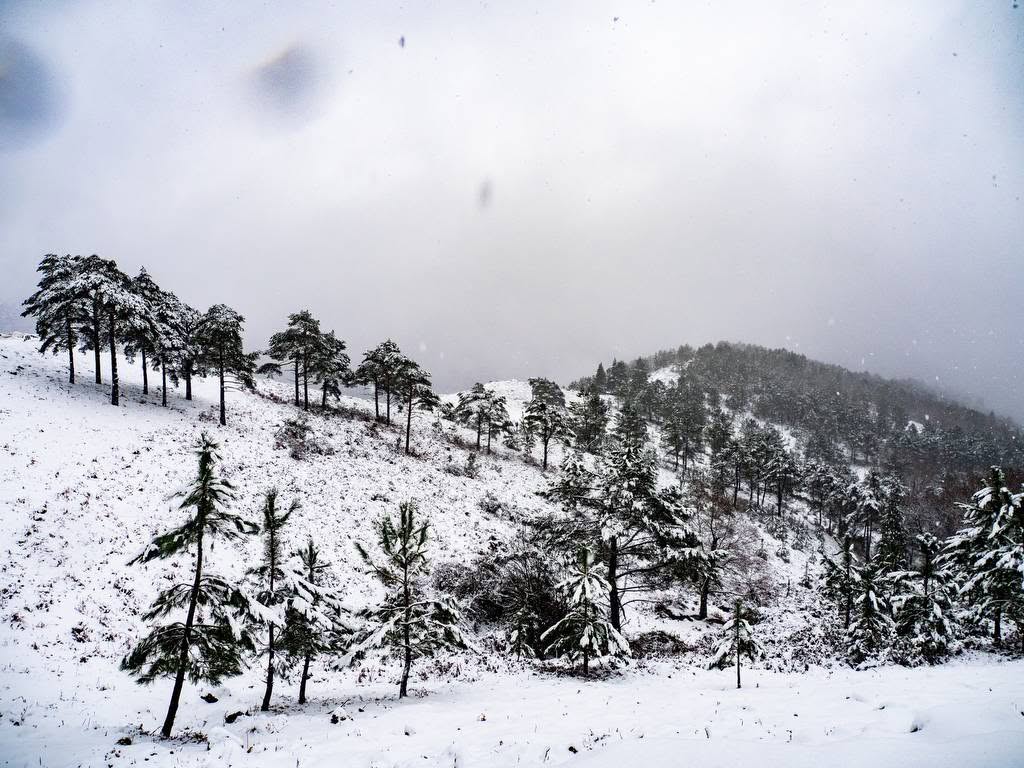 Snow as a Tourist Attraction in Arcos de Valdevez and the Alto Minho